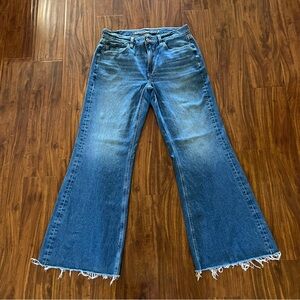American Eagle Outfitters Classic Blue Wide Leg Jeans